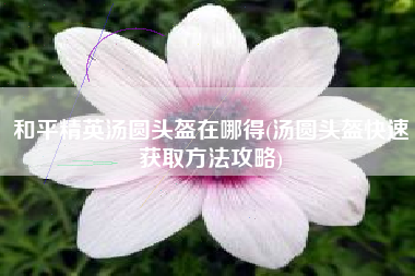 和平精英汤圆头盔在哪得(汤圆头盔快速获取方法攻略)