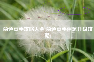 商道高手攻略大全(商道高手建筑升级攻略)