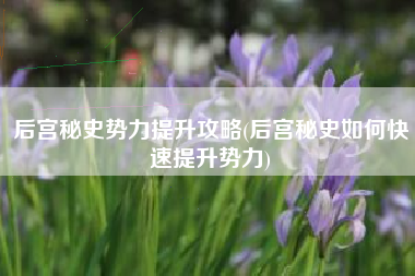 后宫秘史势力提升攻略(后宫秘史如何快速提升势力)