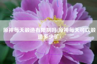 原神每天锻造有限制吗(原神每天可以锻造多少矿)