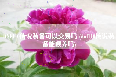 DNF110传说装备可以交易吗 (dnf110传说装备能喂养吗)