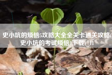 史小坑的烦恼5攻略大全全关卡通关攻略(史小坑的考试烦恼1下载)_11