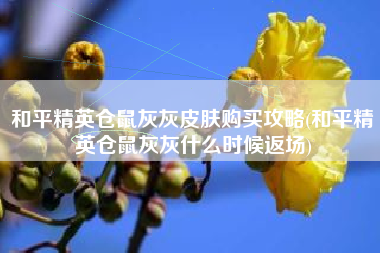和平精英仓鼠灰灰皮肤购买攻略(和平精英仓鼠灰灰什么时候返场) 和平精英仓鼠灰灰皮肤购买攻略(和平精英仓鼠灰灰什么时候返场)