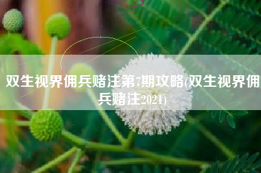双生视界佣兵赌注第7期攻略(双生视界佣兵赌注2021) 双生视界佣兵赌注第7期攻略(双生视界佣兵赌注2021)