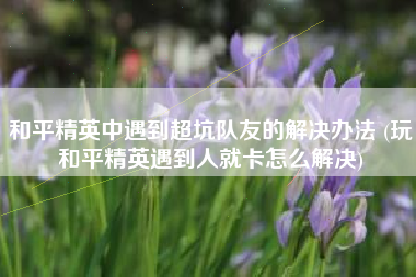 和平精英中遇到超坑队友的解决办法 (玩和平精英遇到人就卡怎么解决) 和平精英中遇到超坑队友的解决办法 (玩和平精英遇到人就卡怎么解决)