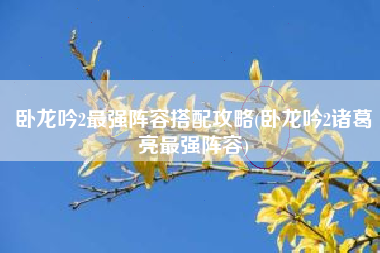 卧龙吟2最强阵容搭配攻略(卧龙吟2诸葛亮最强阵容) 卧龙吟2最强阵容搭配攻略(卧龙吟2诸葛亮最强阵容)