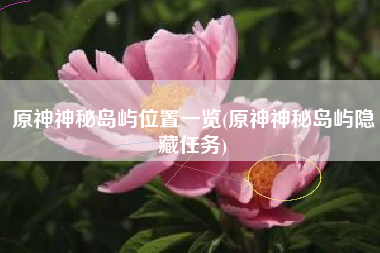 原神神秘岛屿位置一览(原神神秘岛屿隐藏任务)
