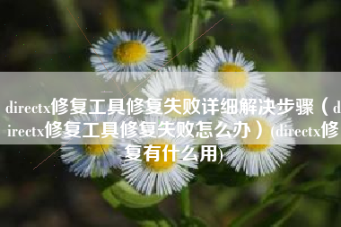 directx修复工具修复失败详细解决步骤（directx修复工具修复失败怎么办）(directx修复有什么用)
