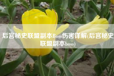 后宫秘史联盟副本Boss伤害详解(后宫秘史联盟副本boss)