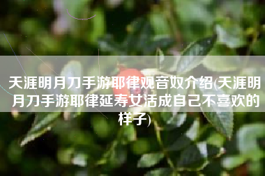 天涯明月刀手游耶律观音奴介绍(天涯明月刀手游耶律延寿女活成自己不喜欢的样子)