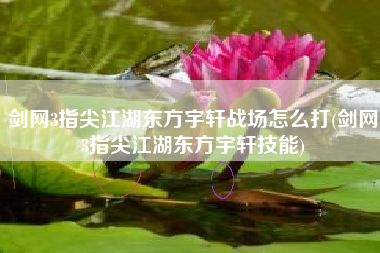 剑网3指尖江湖东方宇轩战场怎么打(剑网3指尖江湖东方宇轩技能)