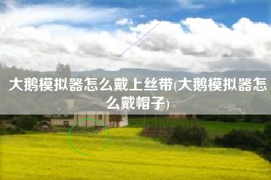 大鹅模拟器怎么戴上丝带(大鹅模拟器怎么戴帽子)