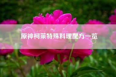 原神柯莱特殊料理配方一览