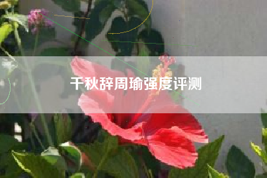 千秋辞周瑜强度评测