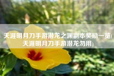 天涯明月刀手游潜龙之渊副本奖励一览(天涯明月刀手游潜龙勿用)