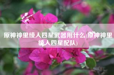原神神里绫人四星武器用什么(原神神里绫人四星配队)