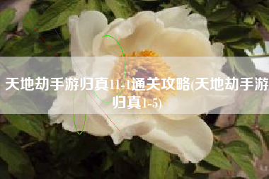 天地劫手游归真11-1通关攻略(天地劫手游归真1-5)