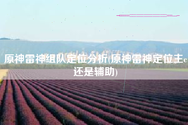原神雷神组队定位分析(原神雷神定位主c还是辅助)