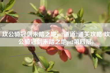 坎公骑冠剑未踏之地pt2通道2通关攻略(坎公骑冠剑未踏之地pt2第四层)