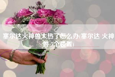 塞尔达火神兽太热了怎么办(塞尔达 火神兽 5个装置)