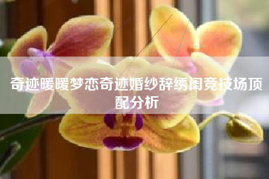 奇迹暖暖梦恋奇迹婚纱辞绣闺竞技场顶配分析