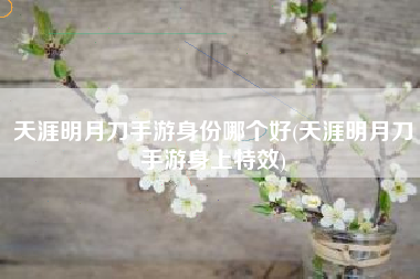 天涯明月刀手游身份哪个好(天涯明月刀手游身上特效)