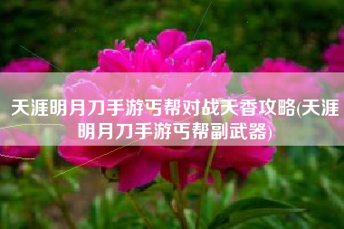 天涯明月刀手游丐帮对战天香攻略(天涯明月刀手游丐帮副武器)