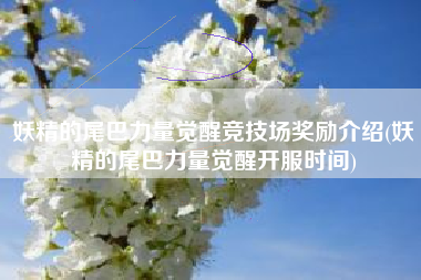 妖精的尾巴力量觉醒竞技场奖励介绍(妖精的尾巴力量觉醒开服时间)