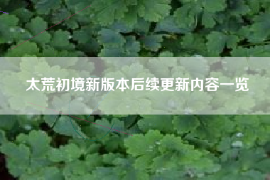 太荒初境新版本后续更新内容一览