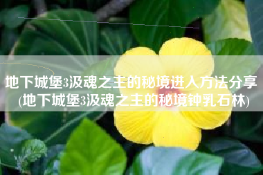地下城堡3汲魂之主的秘境进入方法分享 (地下城堡3汲魂之主的秘境钟乳石林)