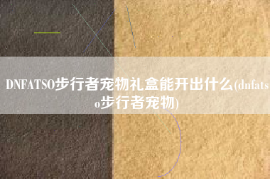 DNFATSO步行者宠物礼盒能开出什么(dnfatso步行者宠物)