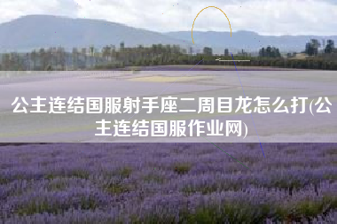 公主连结国服射手座二周目龙怎么打(公主连结国服作业网)