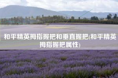 和平精英拇指握把和垂直握把(和平精英拇指握把属性)