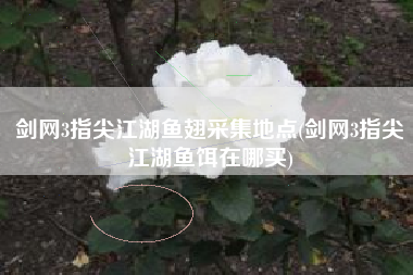 剑网3指尖江湖鱼翅采集地点(剑网3指尖江湖鱼饵在哪买)