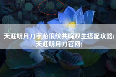 天涯明月刀手游琅纹共鸣双生搭配攻略(天涯明月刀官网)