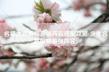 名将之弈前期最强阵容搭配攻略(少年名将前期最强阵容)
