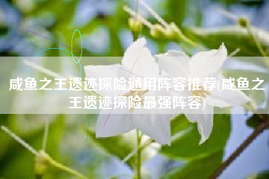 咸鱼之王遗迹探险通用阵容推荐(咸鱼之王遗迹探险最强阵容)
