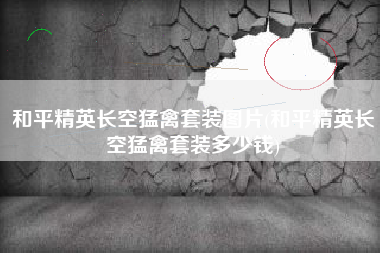 和平精英长空猛禽套装图片(和平精英长空猛禽套装多少钱)