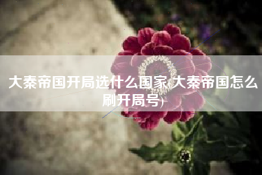 大秦帝国开局选什么国家(大秦帝国怎么刷开局号)