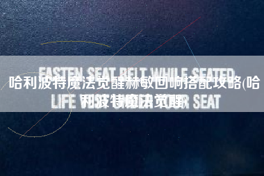 哈利波特魔法觉醒赫敏回响搭配攻略(哈利波特魔法觉醒)