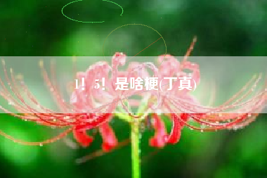 1！5！是啥梗(丁真)
