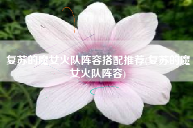 复苏的魔女火队阵容搭配推荐(复苏的魔女火队阵容)