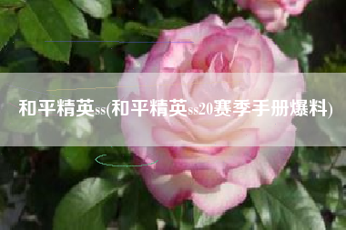 和平精英ss(和平精英ss20赛季手册爆料)