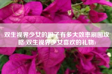 双生视界少女的胆子有多大效率刷图攻略(双生视界少女喜欢的礼物)