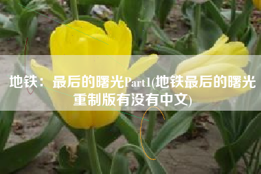 地铁：最后的曙光Part1(地铁最后的曙光重制版有没有中文)