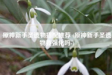 原神新手圣遗物搭配推荐 (原神新手圣遗物要强化吗-)