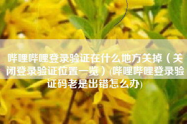 哔哩哔哩登录验证在什么地方关掉（关闭登录验证位置一览）(哔哩哔哩登录验证码老是出错怎么办)