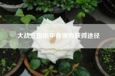 大战三国南华有哪些获得途径