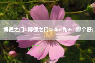 博德之门3(博德之门3vulkan和dx11哪个好)