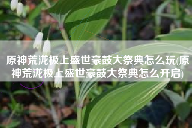 原神荒泷极上盛世豪鼓大祭典怎么玩(原神荒泷极上盛世豪鼓大祭典怎么开启)